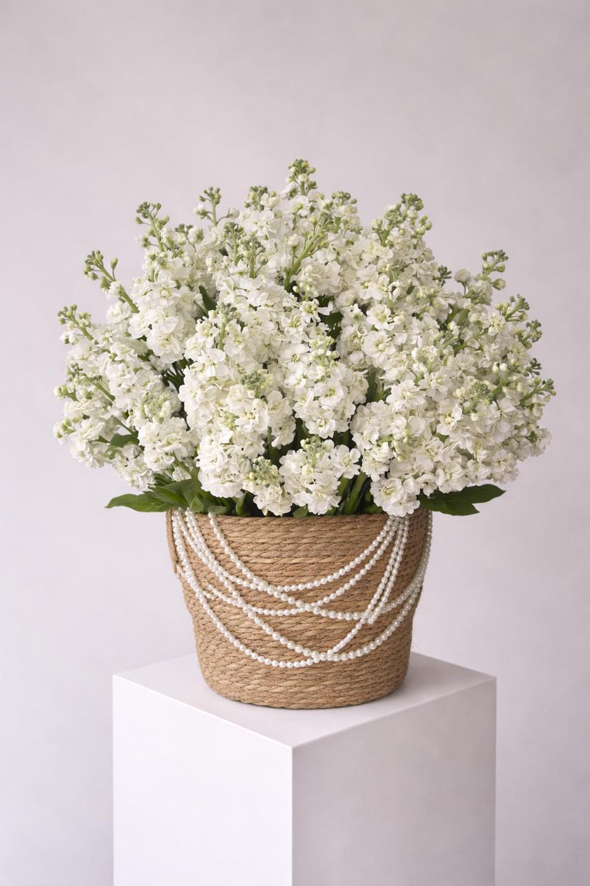 დიადი სისადავე