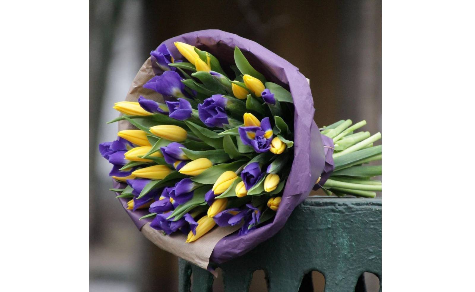 საუცხოო თაიგული